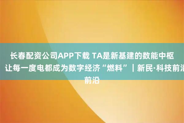 长春配资公司APP下载 TA是新基建的数能中枢，让每一度电都成为数字经济“燃料”｜新民·科技前沿